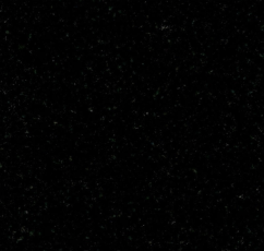 Absolute Black Granite